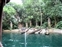 Jungle River Cruise Native Darts hit the waterr