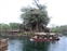 Jungle Crusie boat passes the treehouse