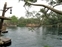 Tarzan's Treehouse - Rafts stored along the shoreline