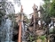 Tarzan's Treehouse -  Look up from Waterfall