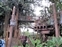 Tarzan's Treehouse - Entrance Overview