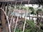 Tarzan's Treehouse -  Under Ropes