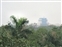 Tarzan's Treehouse - View toward Disney's Hollywood Hotel