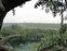 Tarzan's Treehouse - View toward Disneyland Hotel beyond future expansion area