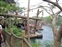 Tarzan's Treehouse - Raft dock from queue