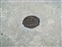 Disney contractor plaque in sidewalk