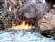 Jungle River Cruise fire spreads