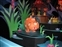 "it's a small world" Africa Hippo
