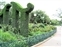 Park Promenade Dolphin Topiary