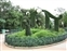 Park Promenade Dragon Topiary