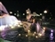 Fountain at Night Daisy