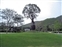 Inspiration Lake Baobob Tree by Parking