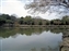 Sagi-Ike Pond & Park