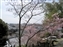 City view from Yuga Shrine