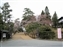 Nara Hotel - Driveway to the hotel entrance