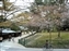 Park near Kofukuji Temple entrance