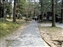 Path toward Kasuga Shrine through the woods