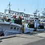 Hakodate - Fishing Boats