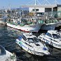 Hakodate - Fishing Boats