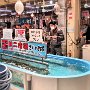 Hakodate - Morning Market - Fishing for a Live Squid Meal