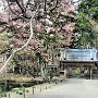 Hiraizumi - Chuson-ji