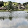 Hiraizumi - Motsu-ji - Outer Pond