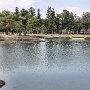Hiraizumi - Motsu-ji Temple Garden
