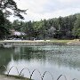 Hiraizumi - Motsu-ji Temple Garden