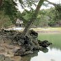 Hiraizumi - Motsu-ji Temple Garden - Rocky Shoreline