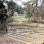 Hiraizumi - Motsu-ji Temple Garden - Rice Fields
