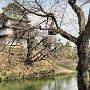 Hirosaki Park - Castle Moat