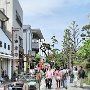 Kamakura - Street to Hachimangu