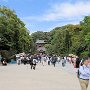 Kamakura - Hachimangu