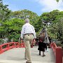 Kamakura - Hachimangu