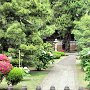 Kamakura - Kenchoji Monks' Garden