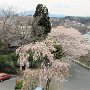 Kesennuma - Plaza Hotel Room View