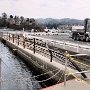 Kesennuma - Harbor Area - Tsunami Damage