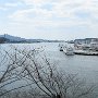 Kesennuma - Harbor Area - Shrine View