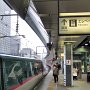 Tokyo Station - Shinkansen Platform