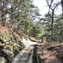 Matsushima - Ojima