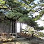 Matsushima - Ojima