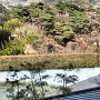 Matsushima - Hotel Taikanso - Green Pool