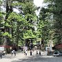 Nikko - Shrine & Temple Area - Road to Toshugu