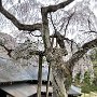 Nikko - Imperial Villa Garden View from Living Quarters