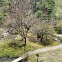 Nikko - Imperial Villa Garden View from Living Quarters