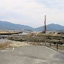 Rikuzentakata - Remnants of Pine Forest