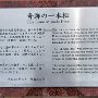 Rikuzentakata - Miracle Pine Plaque