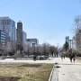 Sapporo - Odori Park