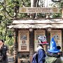 Tokyo Disney Sea - Lost River Delta - Greeting Trail