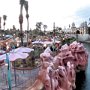 Tokyo Disney Sea - Mermaid Lagoon